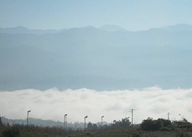 晴れて寒い朝、高台に登ると天竜川の川霧が雲海のように見えます。市田柿の里は雲海（霧）の中です。