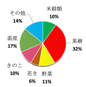 令和2年産 農産物産出額等
南信州228億円