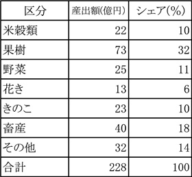 令和2年産 農産物産出額等（南信州）